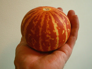 Tigger Tigre Melon French heirloom 10 seeds